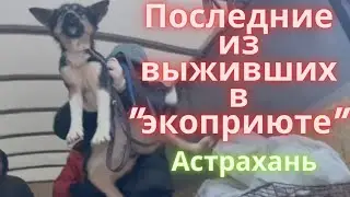 Последние трое выживших из Астраханского 