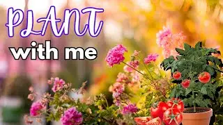 Plant with Me! Spring Garden Tour + New Seedlings 🌱