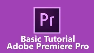 how to set manual scale setting in adobe premiere pro CS6.