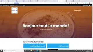 Configuration du theme Wordpress illdy (de Colorlib)