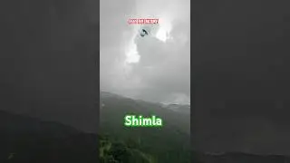 Shimla Rain🌧️