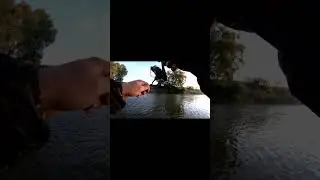 СОМ! Вроде не большой, но сильный 💪. Разогнул застежку. ГАД! #рыбалка #fishing