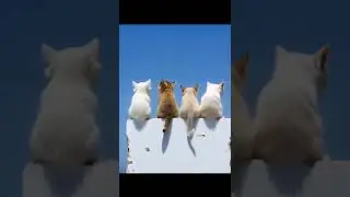 jangan pernah menyerah yaa