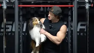 Home Gym Shoulder Workout - DUMBBELLS ONLY