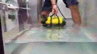 Cat Water Treadmill