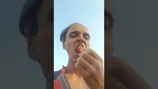 Блоггер на даче