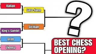 Chess Openings Bracket