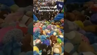 Squishmellow pit at vidcon 2023 #shorts #vidcon