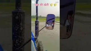 Sonalika 745 tractor | धान की खेती | #shortvideo #tractor #rajneeshroy07