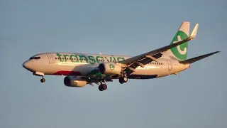 BEAUTIFUL SUNSET Landing Transavia B737 At Madeira Airport