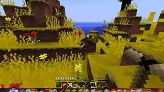 Minecraft Romania survival islands