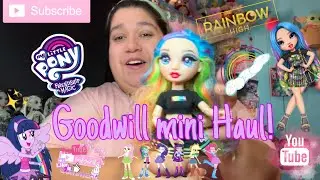 Goodwill mini Haul! 🤗💖✨ #mylittlepony #rainbowhigh