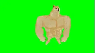 Doge Walking Green Screen || Doge Green Screen