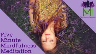 5 Minute Mindfulness Meditation