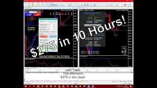 How To Trade forex on Metatrader 5 And Profit Full unedited Video Part 2