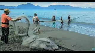 Net fishing at sea shore || old traditional fishing techniques