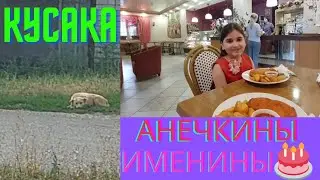 20 августа 2022 г.КУСАКУ НЕ ПОЙМАТЬ.                  АНЕЧКИНЫ ИМЕНИНЫ.🍹🍨🎂