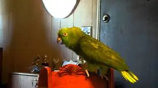 Buddy The Birdie (Pre-Edit, Full Length Version)