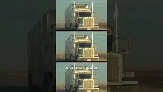 Groundbreaking Live Animal Transport Study