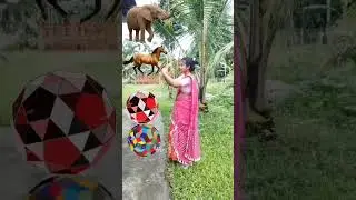 vfx Animal boll|vfx effect|visual effect| blender vfx|vfx green screen effect|