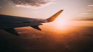 Любовь и крылья✈️