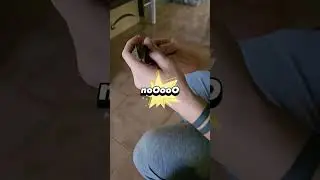 Scinco Coccodrillo attacca!