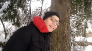 Жизнь Бродяги - Возвращение домой