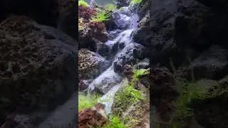 aquascape