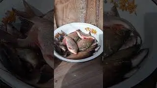 Муж с рыбалки приехал