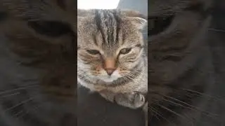 её боялись все