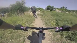 ראן של דן טייב המהיר על הפרה המשוגעת בכפר החורש.  חוק ברזל אצלו זה הכי חשוב!