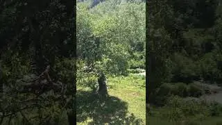 #runningblogger #mountains #shotsvideo #youtubevideo #videoshorts