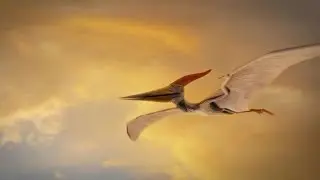 How Were Pterosaurs Adapted for Flight?
