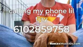 20 Popular Lil Tjay Roblox Music Codes/IDs (Working 2021)