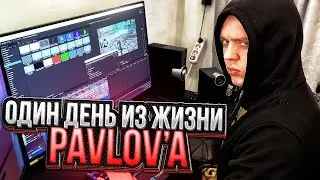 ОДИН ДЕНЬ ГЛАЗАМИ ХОЛОСТЯКА - PAVLOV