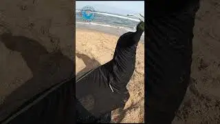 Seal Rescued From Fishing Line #shorts