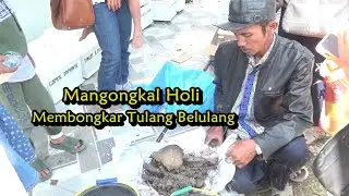 MANGONGKAL HOLI (MEMBONGKAR TULANG BELULANG) TRADISI UPACARA BUDAYA ADAT BATAK