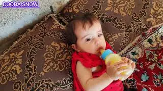 bravery of a nomadic woman: hiring a lawyer to prove Ali's innocence 2024