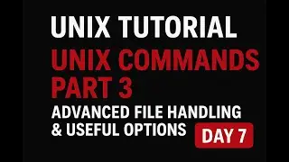 UNIX Commands Part 3 | Advanced File Handling & Useful Options