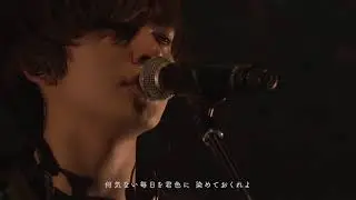 DISH// - 猫 [Official Live Video 2019]
