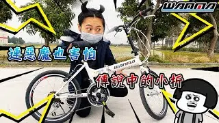 WANMA 熱銷排行 NO.1 !!!!!  20吋 21速 折疊車  (年銷破萬台)