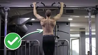 ZGIBOVI 💪 KOMPLETAN vodic za JAKA i RAZVIJENA LEDJA ✔
