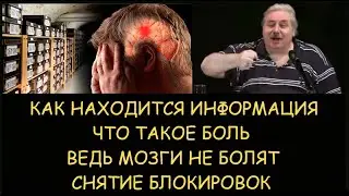 ✅ Николай Левашов  Что такое боль ведь мозги не болят  Как находится информация  Снятие блокировок