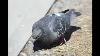 Сатка. Апрельский денёк.