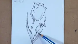 How to draw tulips step by step easy | Pencil drawing