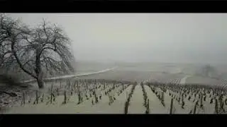 Возвращение в Бургундию