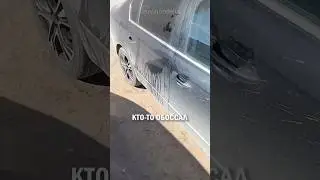 ОБОССАЛИ МАШИНУ СРЕДЬ БЕЛА ДНЯ #авто #машина #автомобиль #shorts