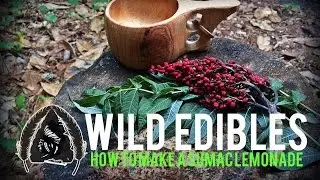 Wild Edibles-How to Make Sumac Lemonade