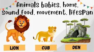 Animal Facts for Kids: Explained!