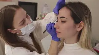 курс Архитектура бровей